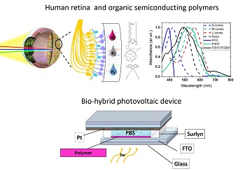 artificial retina Fig2