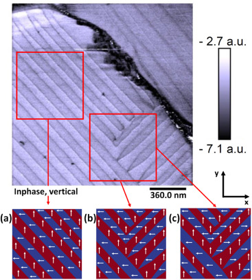 ferroelectric polarization patterns in MAPbI3