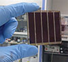 perovskite module