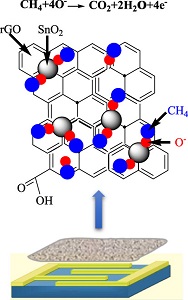 stannic oxide nanoparticles1